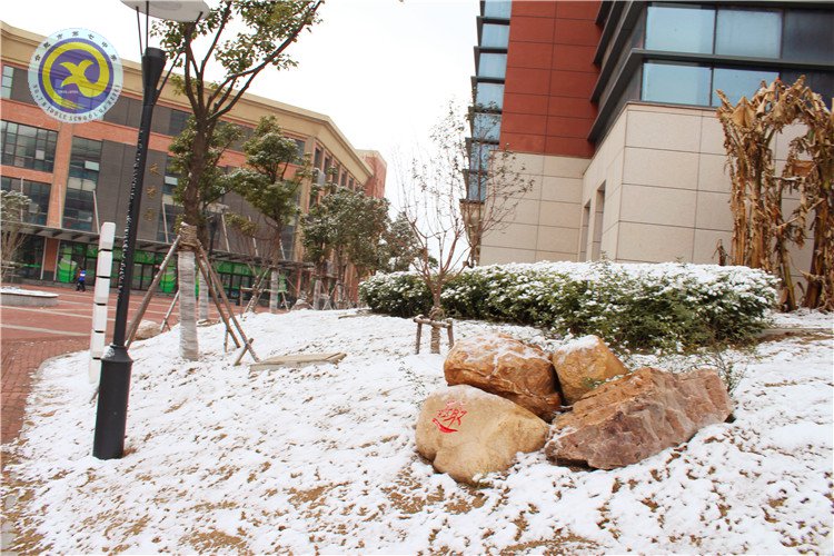 雪園“石頭記”，最美是氣質(zhì)(圖14)