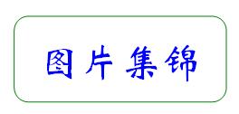  合肥市第七中學(xué)·農(nóng)興中學(xué)合作共建 簡報(圖6)