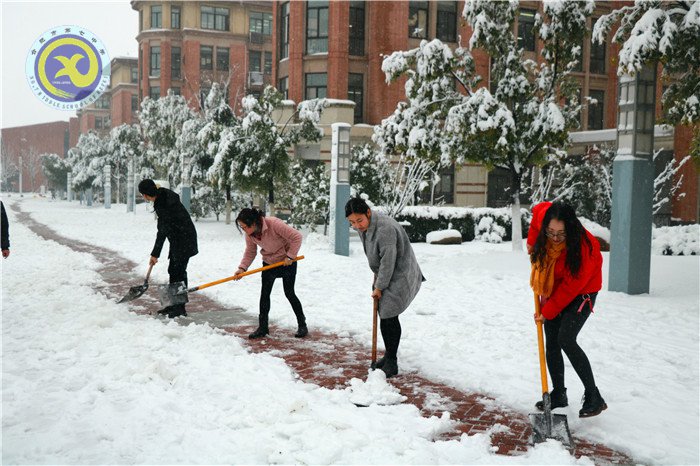 黨員干部掃雪忙    師生離校保通暢(圖6)