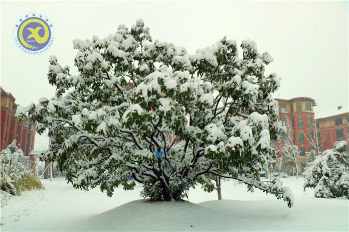 梅雪盼冬來(lái)，微笑迎春歸(圖4)