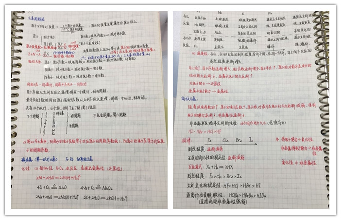 耕耘不輟秉初心  智慧領航顯擔當(圖4)