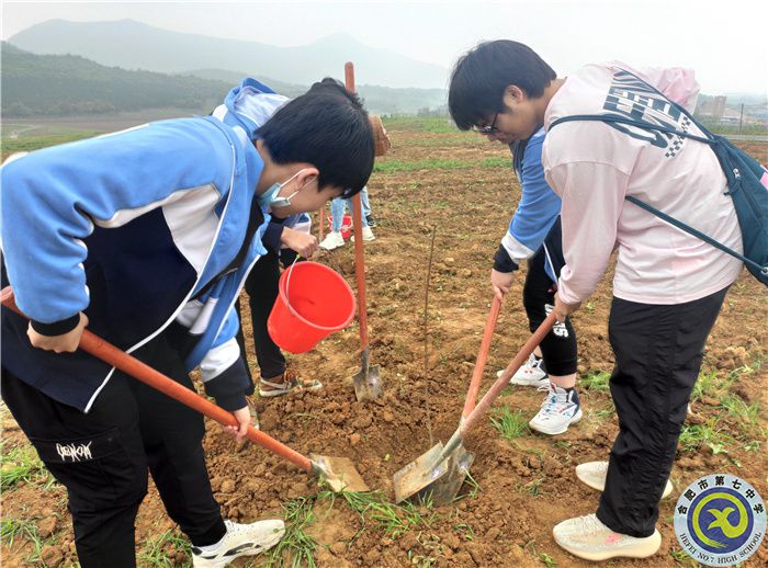 親近自然之美，體驗耕耘之樂(圖7)