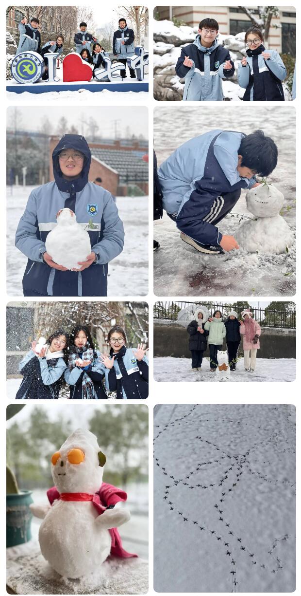 寶藏學校：每個人都期待，雪花所帶來的“活潑潑”的生命(圖9)